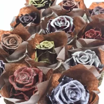 Růže CUPCAKE CHRISTMAS 11