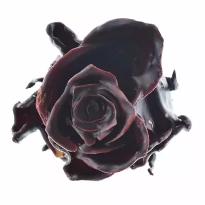 Růže CUPCAKE CHRISTMAS 11