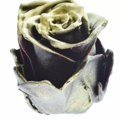 Růže CUPCAKE CHRISTMAS 12