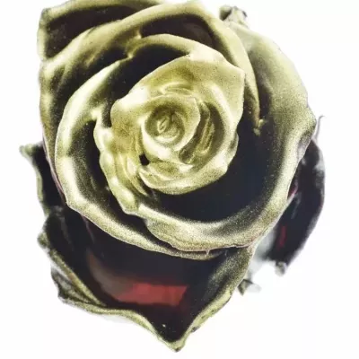 Růže CUPCAKE CHRISTMAS 12