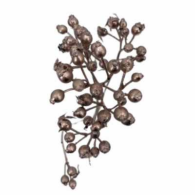 Růže šípková PLENTY BARVENÁ CHAMPAGNE