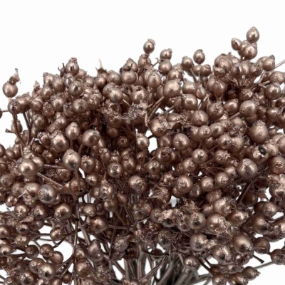 Růže šípková PLENTY BARVENÁ CHAMPAGNE