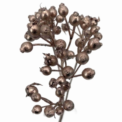 Růže šípková PLENTY BARVENÁ CHAMPAGNE 40 cm