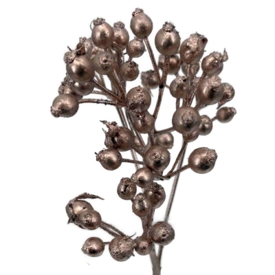 Růže šípková PLENTY BARVENÁ CHAMPAGNE