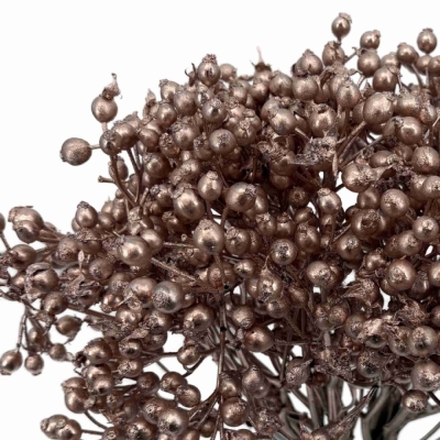 Růže šípková PLENTY BARVENÁ CHAMPAGNE