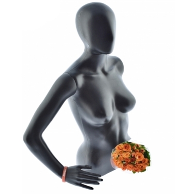 Růže trsová PICANTO