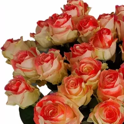 Růže VALENTINE BEAUTY MAKE-UPZ LIPSTICK RED