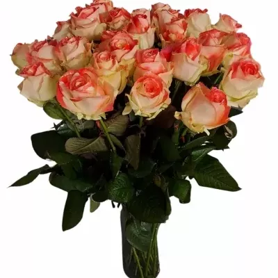 Růže VALENTINE BEAUTY MAKE-UPZ LIPSTICK RED