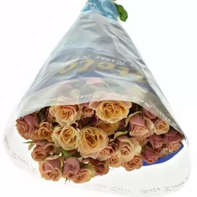 Růžová růže ANTIGUA 40cm (M)