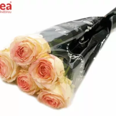 Růžová růže AVE MARIA SUMMERHOUSE 40cm (L)