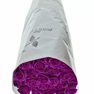 Růžová růže CERISE VENDELA