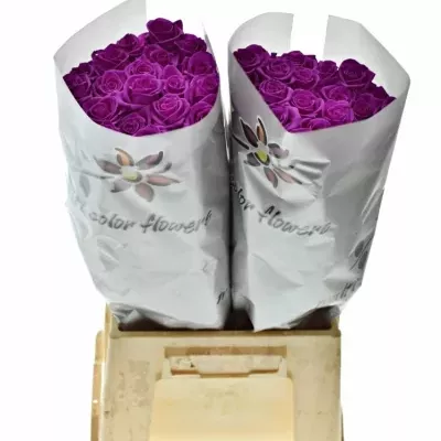 Růžová růže CERISE VENDELA