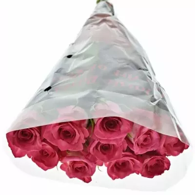 Růžová růže CLARION 40cm