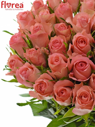 Růžová růže DEKORA 40cm