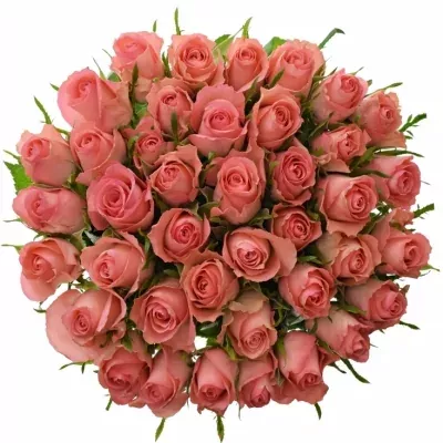 Ružová ruža DEKORA 40cm