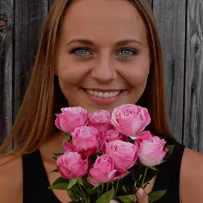 Růžová růže LADY BOMBASTIC 50cm/5+ (M)