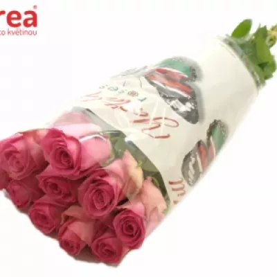 Růžová růže SUPREME+ 70cm (L)