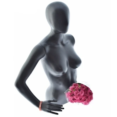 Růžová růže trsová PINK DIMENSION