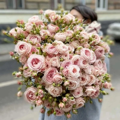 Růžová růže trsová ROSA LOVES ME WITH FATAL ATTRACTION