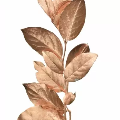 SALAL TIP COPPER 45cm 