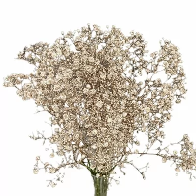 Šáter BARVENÝ CHAMPAGNE 80cm/28g