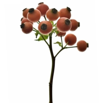 Šípek CONIC HIPHOP