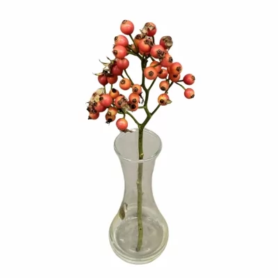 Šípková růže MAGICAL AUTUMNS FAME