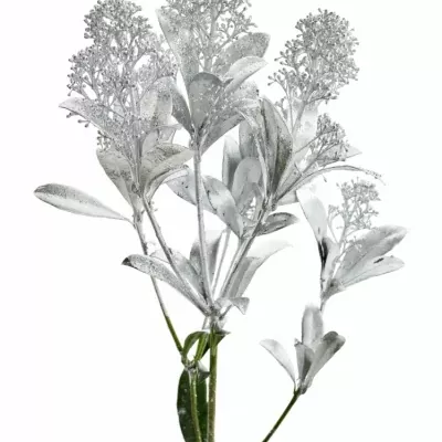 SKIMMIA GLITTER SILVER 38cm