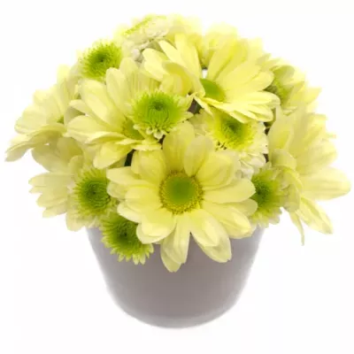 Skleněná miska květin lila LYSTRA d12cm