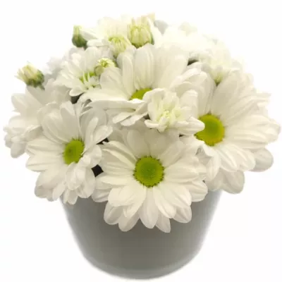 Skleněná miska květin šedá MARJORIE d12cm