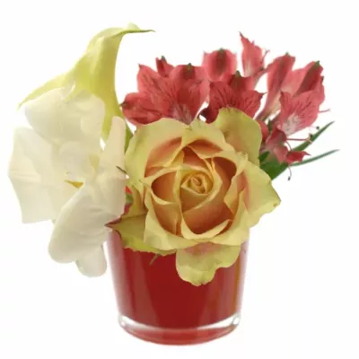 Skleněná miska NASHVILLE d10cm-bordová