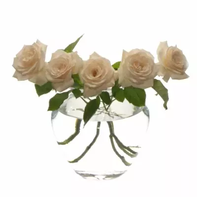 Skleněná váza 870624754 d15cm v20cm