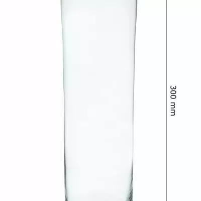 Sklenená váza 883188900 d6cm v30cm