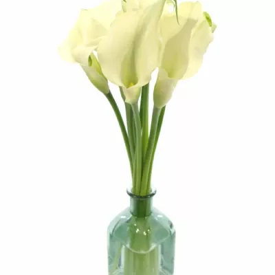 Skleněná váza BONIE v13cm-modrá