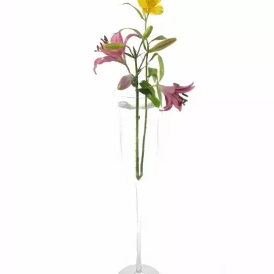 Skleněná váza CAIRNS d15cm v70cm