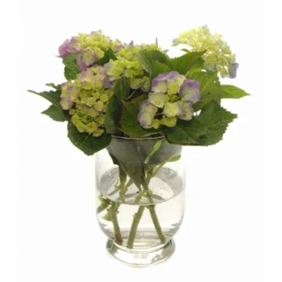 SKLENĚNÁ VÁZA DEBORA