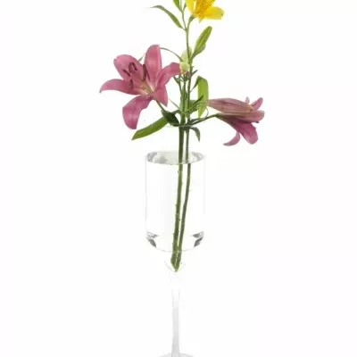 Skleněná váza DIABOLO d20cm v55cm