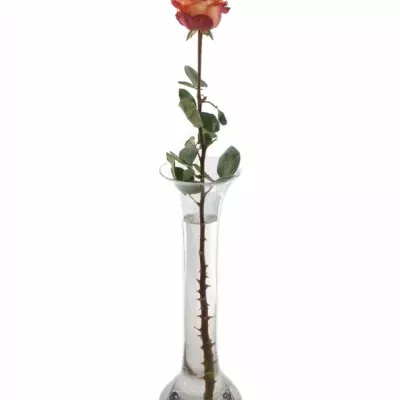 Skleněná váza LINEA v60cm