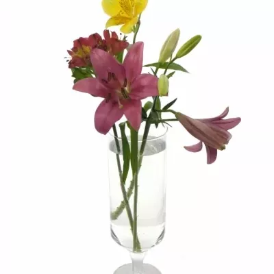 Skleněná váza TORUN d12cm v38cm