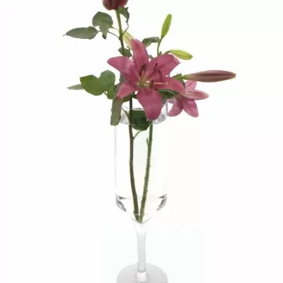 Skleněná váza TORUN d12cm v48cm