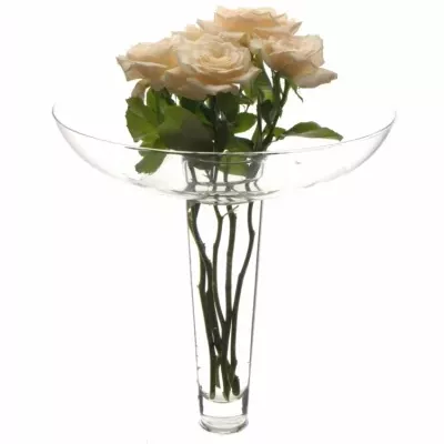 Skleněná váza UMBRELLA d27cm v31cm