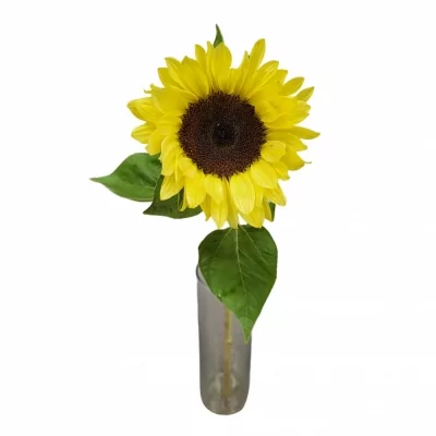 Slunečnice ANNUUS SUNRICH LIMONCELLO