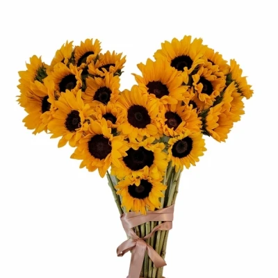 Srdce 23 žlutých slunečnic SILVIE