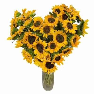 Srdce 31 žlutých slunečnic GIZELA
