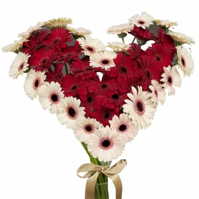 Srdce 40 vícebarevných gerber mini ALOISIE 45 cm