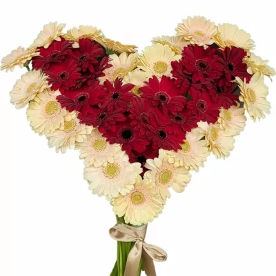 Srdce 40 vícebarevných gerber mini MARIJA 45 cm