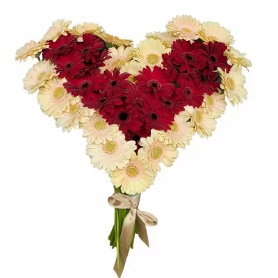 Srdce 40 vícebarevných gerber mini MARIJA