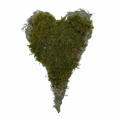 Srdce mech + lišejník 25cm/20cm