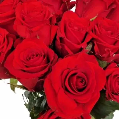 Srdce z ruží malé EVER RED 50cm