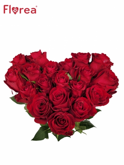 Srdce z růží malé EVER RED 60cm